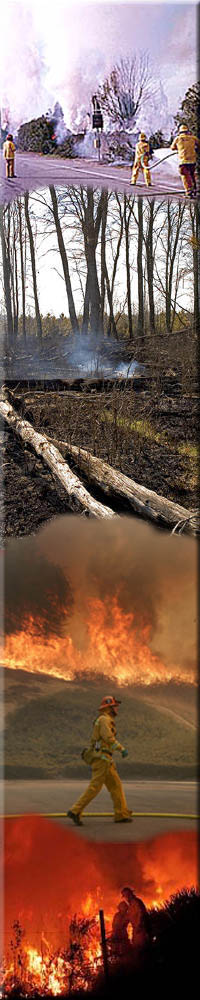Brush Fire